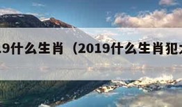 2019什么生肖（2019什么生肖犯太岁）