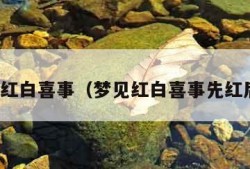 梦见红白喜事（梦见红白喜事先红后白）