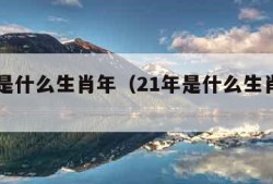 21年是什么生肖年（21年是什么生肖年什么命）