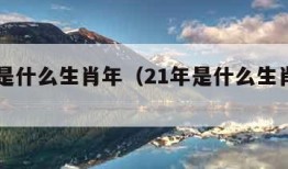 21年是什么生肖年（21年是什么生肖年什么命）