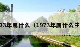 1973年属什么（1973年属什么生肖）