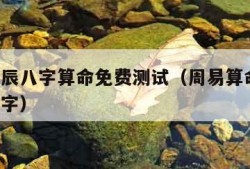 周易生辰八字算命免费测试（周易算命免费 生辰八字）