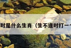 生不逢时是什么生肖（生不逢时打一个生肖）