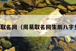 周易取名网（周易取名网生辰八字免费）