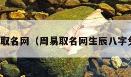 周易取名网（周易取名网生辰八字免费）