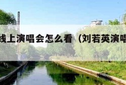 刘若英线上演唱会怎么看（刘若英演唱会视频观看）