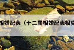 十二属相婚配表（十二属相婚配表相克歇后语）