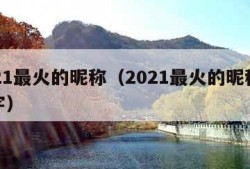 2021最火的昵称（2021最火的昵称女二字）