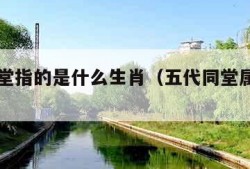 五代同堂指的是什么生肖（五代同堂属什么生肖）