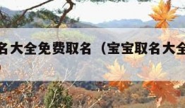 宝宝取名大全免费取名（宝宝取名大全免费取名宝典）