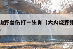 大火烧山野兽伤打一生肖（大火烧野猪林是什么生肖）