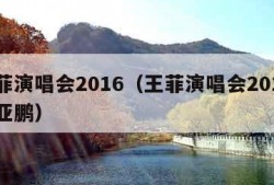 王菲演唱会2016（王菲演唱会2016 李亚鹏）