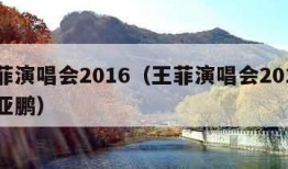 王菲演唱会2016（王菲演唱会2016 李亚鹏）