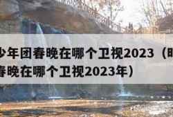 时代少年团春晚在哪个卫视2023（时代少年团春晚在哪个卫视2023年）