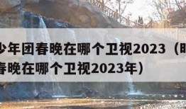 时代少年团春晚在哪个卫视2023（时代少年团春晚在哪个卫视2023年）