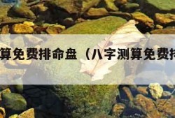 八字测算免费排命盘（八字测算免费排命盘2023）