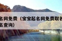 宝宝起名网免费（宝宝起名网免费取名字生辰八字取名查询）