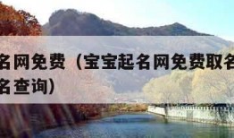 宝宝起名网免费（宝宝起名网免费取名字生辰八字取名查询）