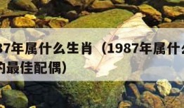 1987年属什么生肖（1987年属什么生肖的最佳配偶）