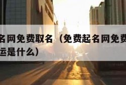 免费起名网免费取名（免费起名网免费取名打分基础运是什么）