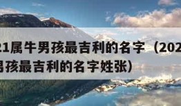 2021属牛男孩最吉利的名字（2021属牛男孩最吉利的名字姓张）