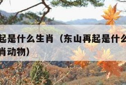 东山再起是什么生肖（东山再起是什么生肖答案打一肖动物）