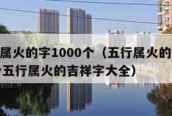 五行属火的字1000个（五行属火的字1000个五行属火的吉祥字大全）