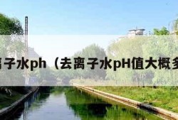 去离子水ph（去离子水pH值大概多少）