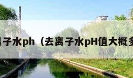 去离子水ph（去离子水pH值大概多少）