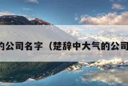 大气的公司名字（楚辞中大气的公司名字）