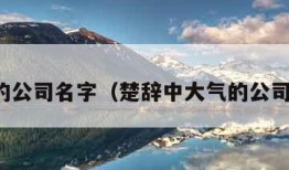 大气的公司名字（楚辞中大气的公司名字）