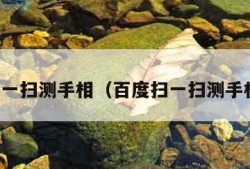 百度扫一扫测手相（百度扫一扫测手相在线）