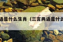 三言两语是什么生肖（三言两语是什么生肖百度一下）