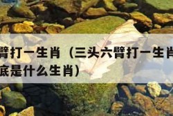 三头六臂打一生肖（三头六臂打一生肖求大神帮忙谜底是什么生肖）