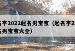 起名字2022起名男宝宝（起名字2022起名男宝宝大全）