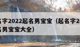 起名字2022起名男宝宝（起名字2022起名男宝宝大全）