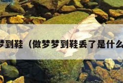 做梦梦到鞋（做梦梦到鞋丢了是什么征兆）