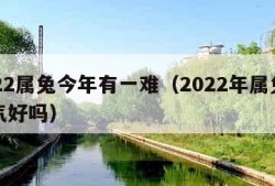 2022属兔今年有一难（2022年属兔的运气好吗）