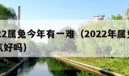 2022属兔今年有一难（2022年属兔的运气好吗）