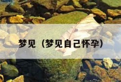 梦见（梦见自己怀孕）