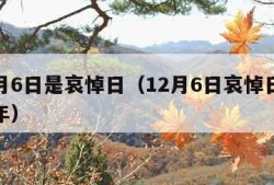 12月6日是哀悼日（12月6日哀悼日2023年）