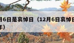 12月6日是哀悼日（12月6日哀悼日2023年）