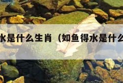 如鱼得水是什么生肖（如鱼得水是什么生肖打一肖）