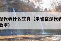 朱雀宫深代表什么生肖（朱雀宫深代表什么生肖打一数字）