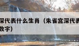 朱雀宫深代表什么生肖（朱雀宫深代表什么生肖打一数字）