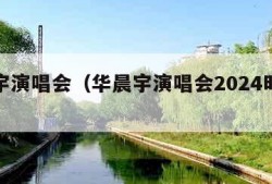 华晨宇演唱会（华晨宇演唱会2024时间表）