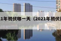 2021年初伏哪一天（2021年初伏是哪天）