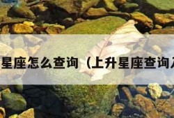 上升星座怎么查询（上升星座查询入口）