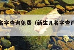 新生儿名字查询免费（新生儿名字查询免费梁家枢）