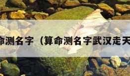 算命测名字（算命测名字武汉走天下）